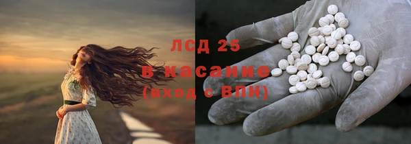 молекула духа Щигры