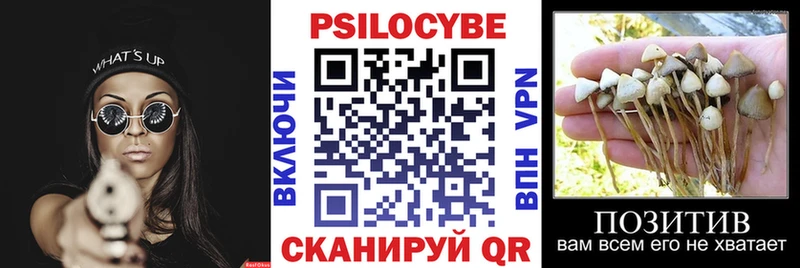 Псилоцибиновые грибы Psilocybine cubensis  где купить наркотик  Сураж 